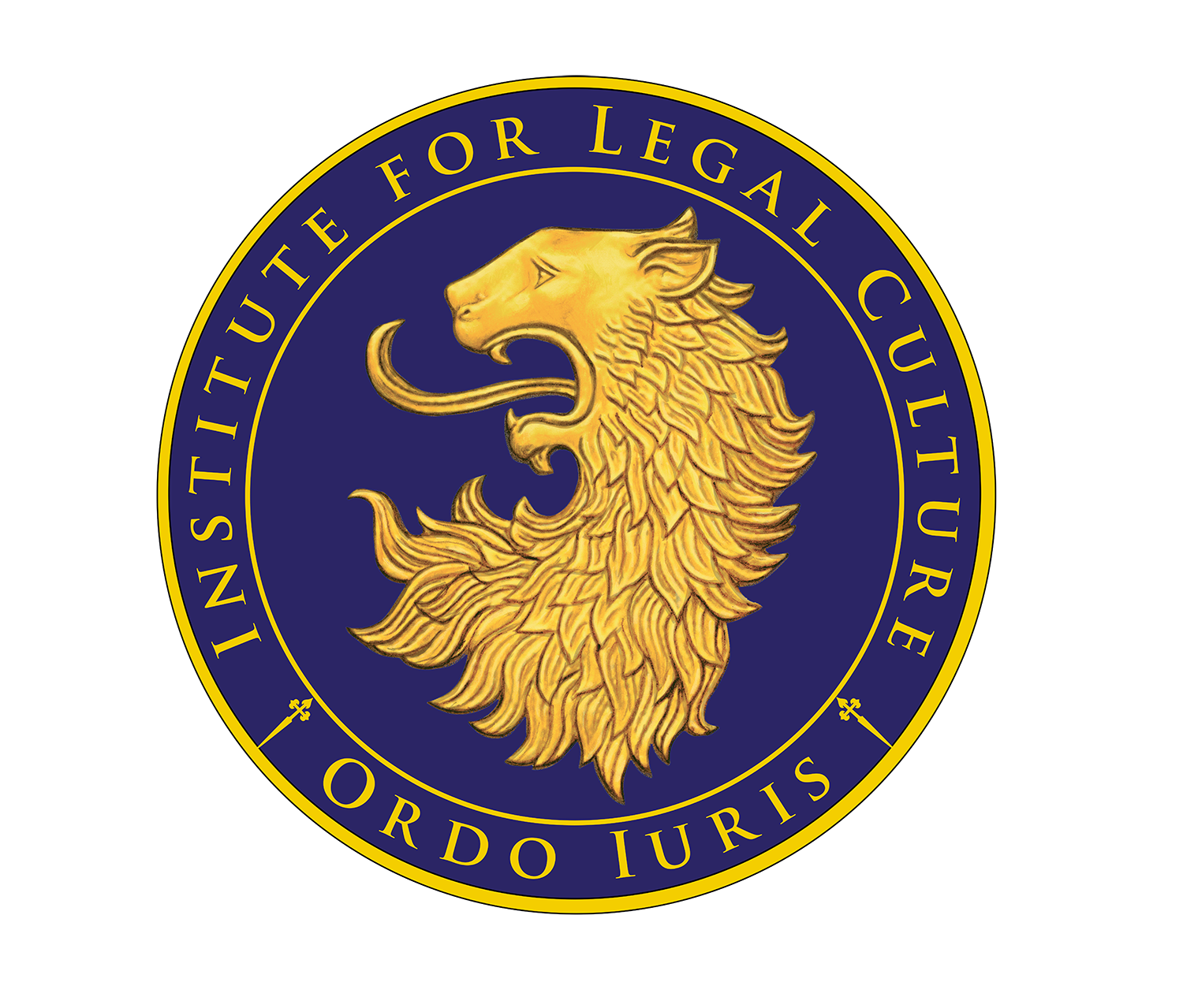 logo OI ENG - do internetu